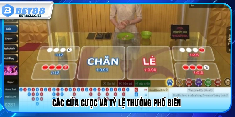 Soi Cầu Live Xóc Đĩa – Mẹo Dự Đoán Chuẩn Xác Trong Từng Phiên 3 Những cửa cược thông dụng cùng mức trả thưởng